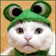 alessandrajpt9a's Avatar